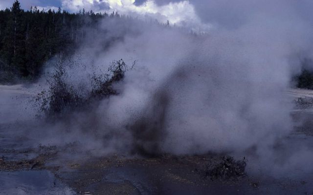 Decker Geyser erupting - Norris Geyser Basin Picture