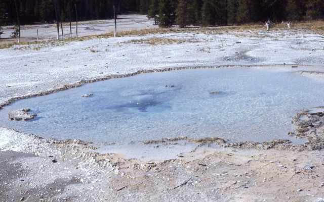 Pearl Geyser - Norris Geyser Basin Picture