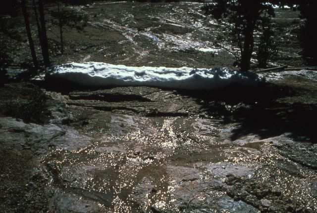 Run off from Steamboat Geyser eruption - Norris Geyser Basin Picture