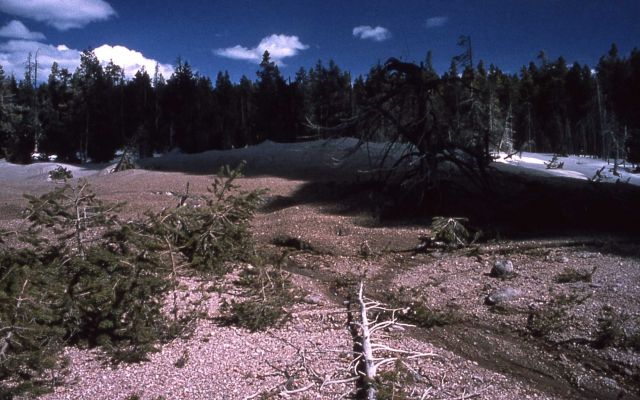 Area east (behind) Steamboat Geyser covered with gravel - Norris Geyser Basin Picture