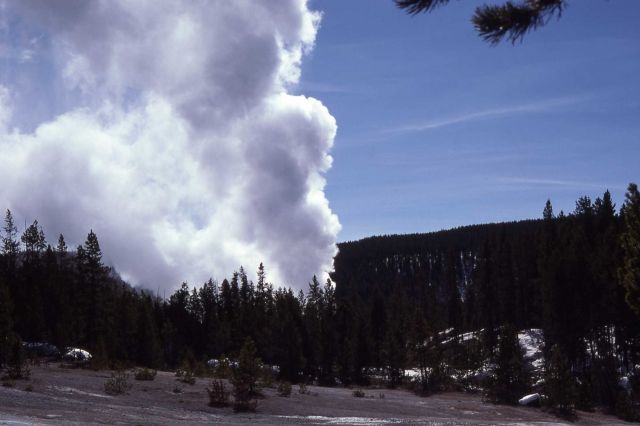 Steamboat Geyser as seen from parking lot - Norris Geyser Basin Picture