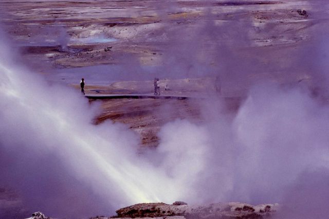 Ledge Geyser erupting - Norris Geyser Basin Picture