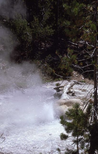 Gibbon Hill Geyser (east of Gibbon meadow) - Norris Geyser Basin Picture