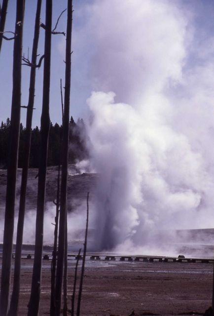 Africa Geyser - Norris Geyser Basin Picture