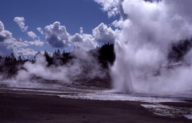 Africa Geyser - Norris Geyser Basin Picture