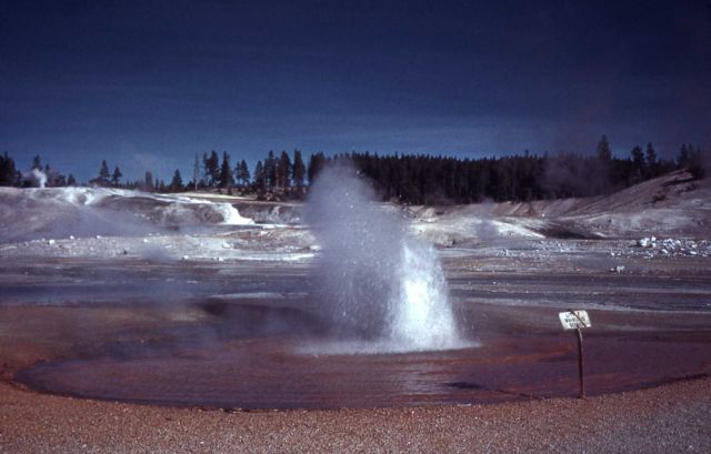 Constant Geyser, Porcelain Basin - Norris Geyser Basin Picture