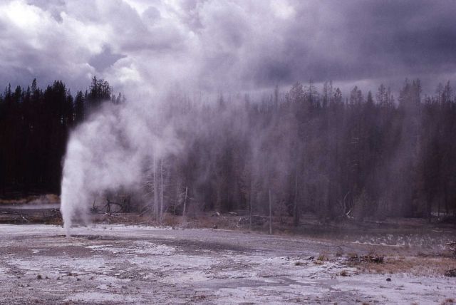 Porkchop Geyser erupting - Norris Geyser Basin Picture