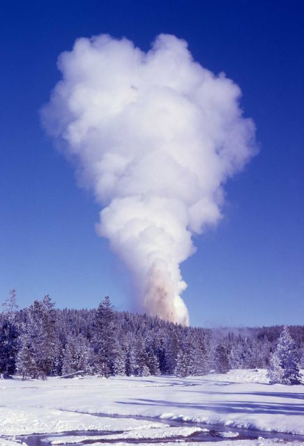 Steamboat Geyser eruption - Norris Geyser Basin Picture