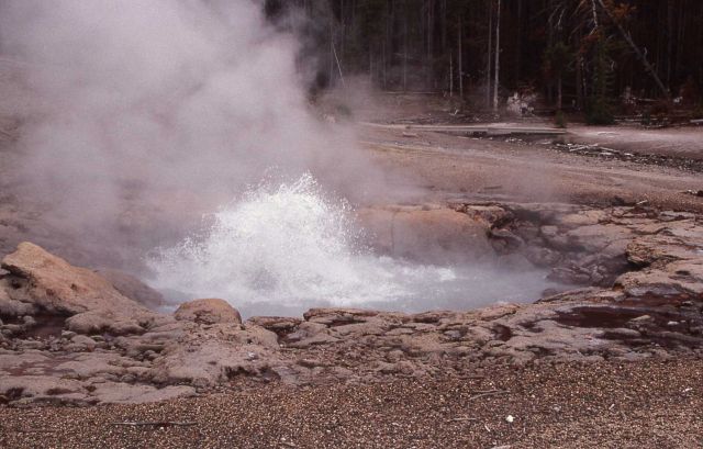 Echinus Geyser - Norris Geyser Basin Picture