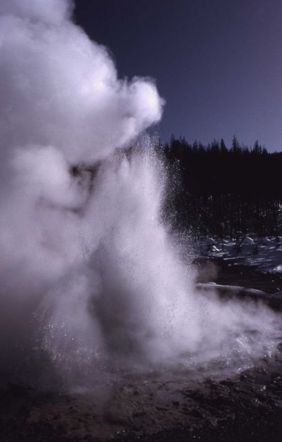 Echinus Geyser - Norris Geyser Basin Picture