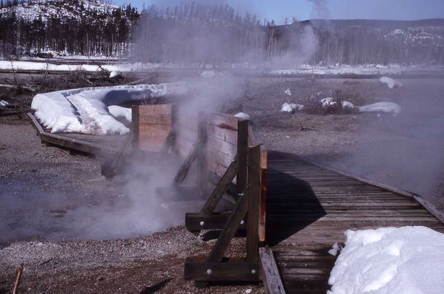 Bastille Geyser (informal name) - Norris Geyser Basin Picture