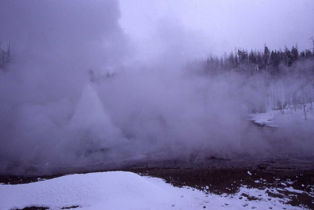 Echinus Geyser in winter - Norris Geyser Basin Picture