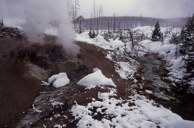 Puff 'n Stuff Geyser in winter - Norris Geyser Basin Picture