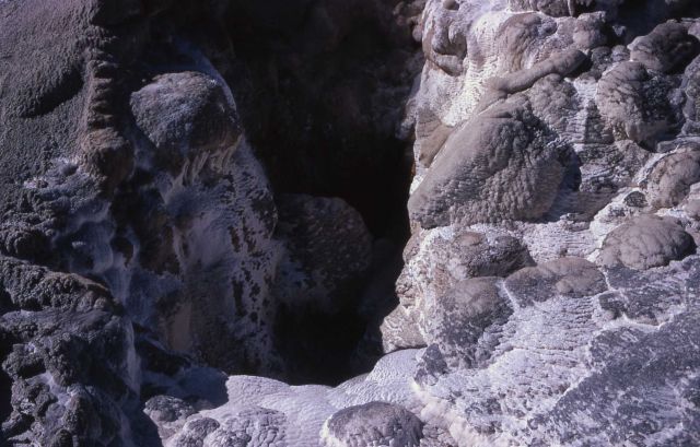 South vent of Steatboat Geyser - Norris Geyser Basin Picture