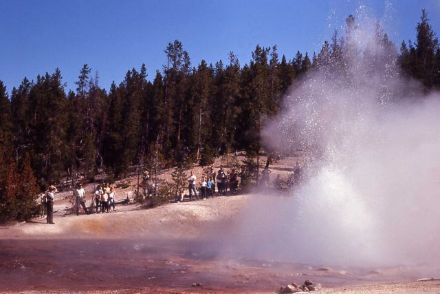 Echinus Geyser - Norris Geyser Basin Picture