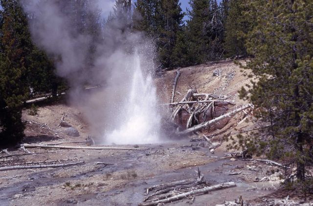 Ebony Geyser - Norris Geyser Basin Picture