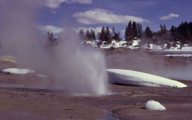 Africa Geyser - Norris Geyser Basin Picture