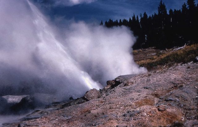 Ledge Geyser - Norris Geyser Basin Picture