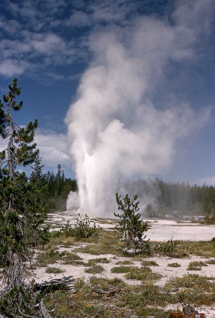 Union Geyser - Shoshone Lake Geyser Basin Picture