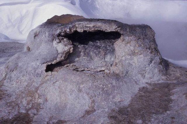 Middle vent of Union Geyser - Shoshone Lake Geyser Basin Picture