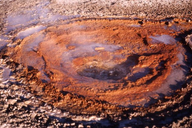 Iron Conch Geyser - Shoshone Lake Geyser Basin Picture