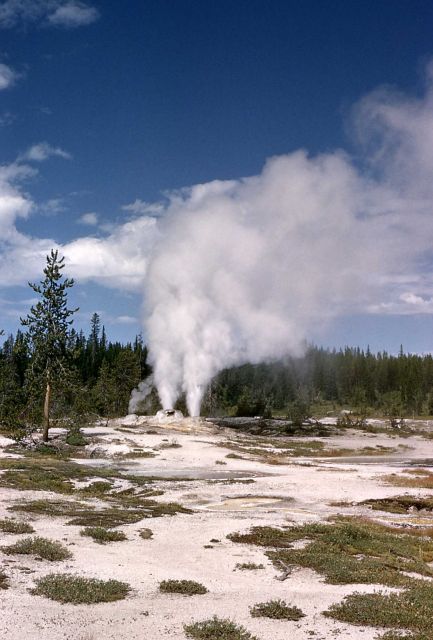 Union Geyser - Shoshone Lake Geyser Basin Picture