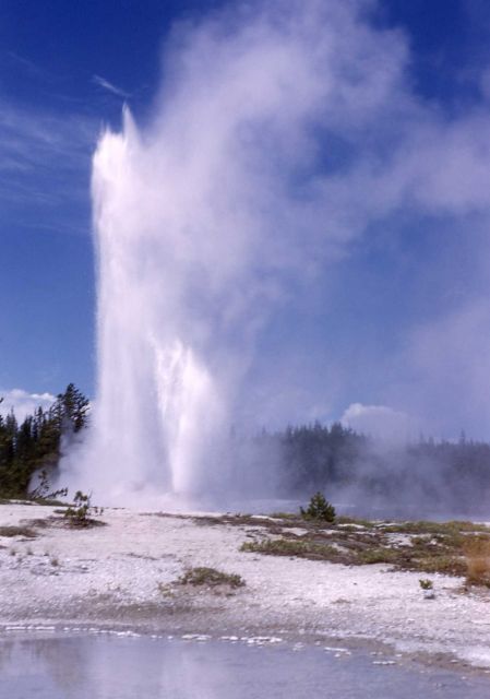 Union Geyser - Shoshone Lake Geyser Basin Picture