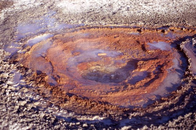 Iron Couch Geyser - Shoshone Lake Geyser Basin Picture