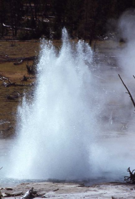 Seismic Geyser - Upper Geyser Basin Picture