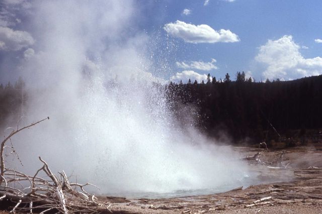 Seismic Geyser - Upper Geyser Basin Picture