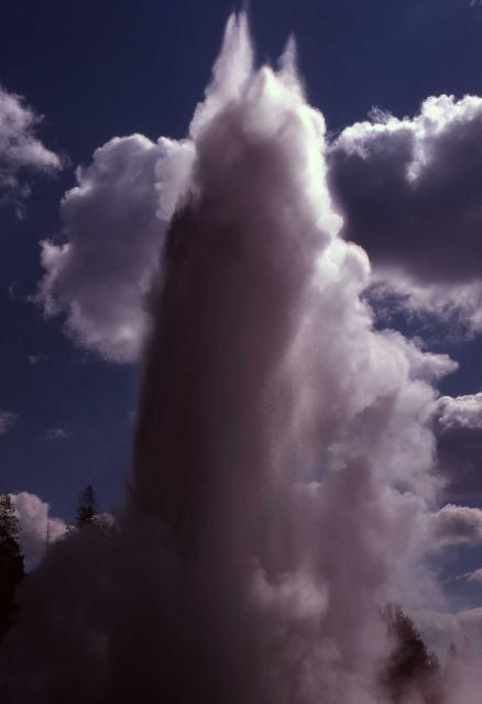 Grand Geyser - Upper Geyser Basin Picture