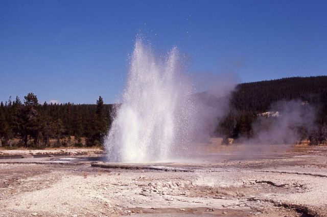 Little Brother Geyser - Upper Geyser Basin Picture