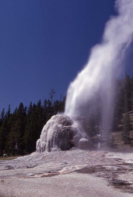 Lone Star Geyser - Upper Geyser Basin Picture