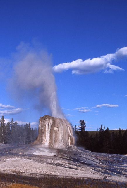 Lone Star Geyser - Upper Geyser Basin Picture