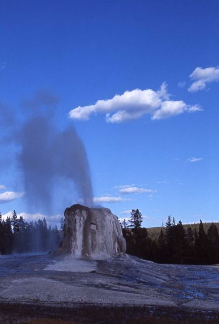 Lone Star Geyser - Upper Geyser Basin Picture