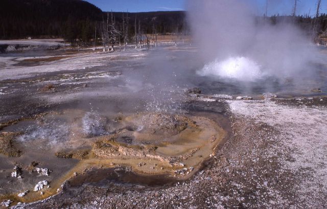 Spouter Geyser - Upper Geyser Basin Picture