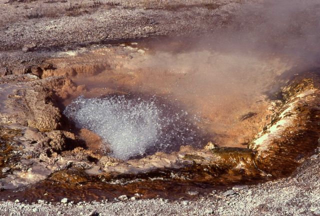 Pump Geyser - Upper Geyser Basin Picture