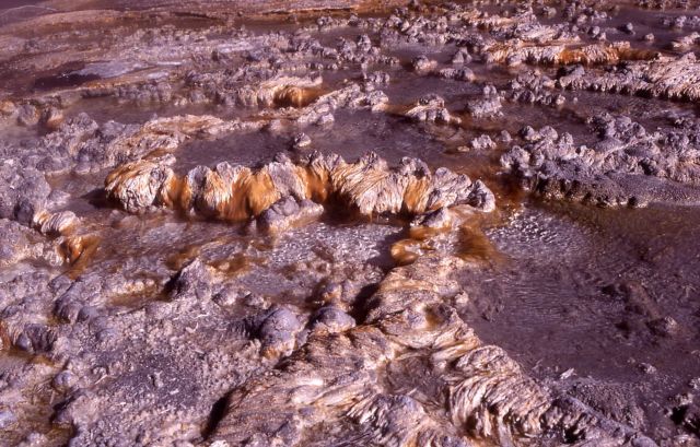 Solitary Geyser & run off channel - Upper Geyser Basin Picture