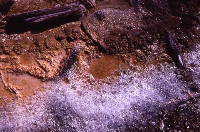 Solitary Geyser - Upper Geyser Basin Picture