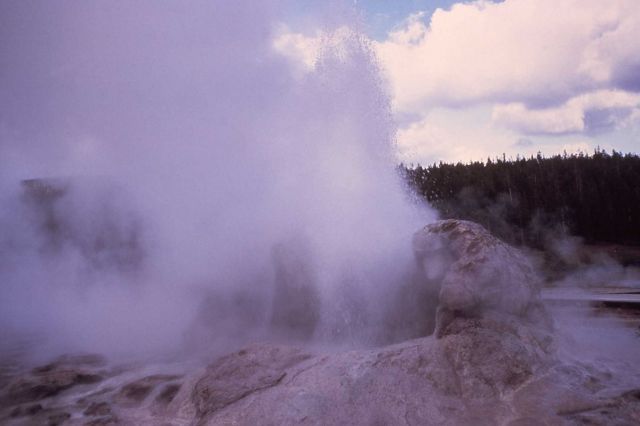 Grotto Geyser - Upper Geyser Basin Picture