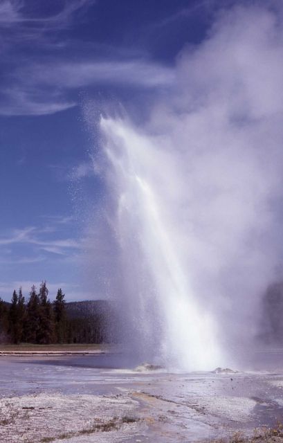 Daisy Geyser - Upper Geyser Basin Picture