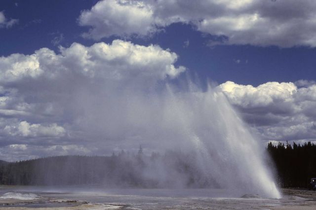 Daisy Geyser - Upper Geyser Basin Picture