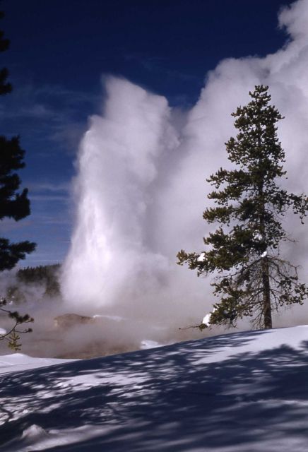 Giant Geyser - Upper Geyser Basin Picture