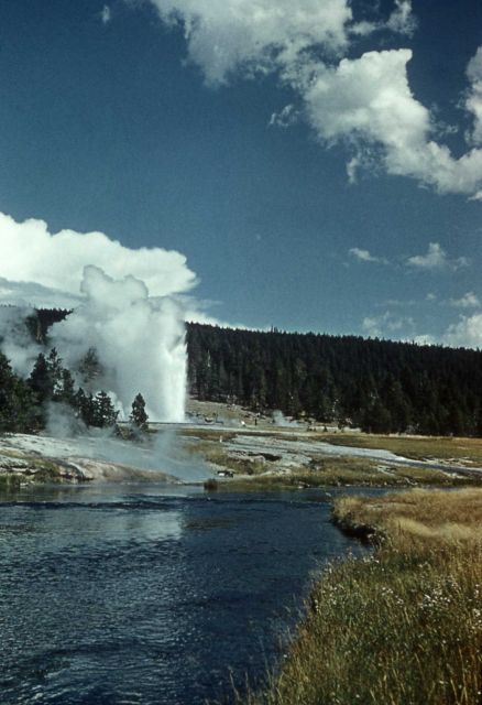 Distant view of Grand Geyser - Upper Geyser Basin Picture