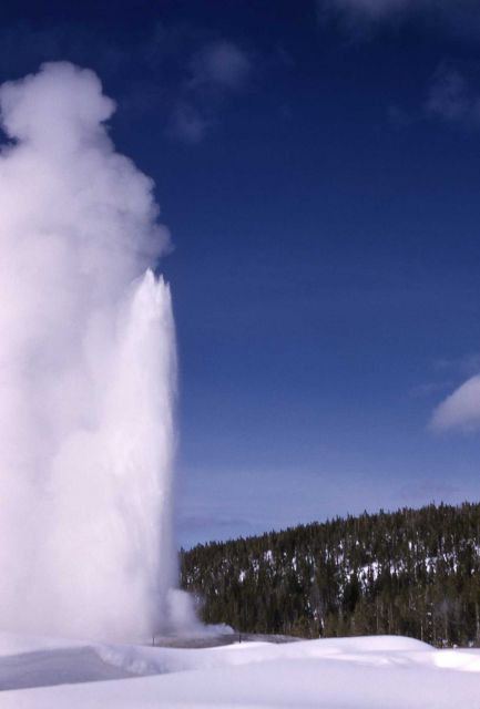 Old Faithful Geyser with snow - Upper Geyser Basin Picture