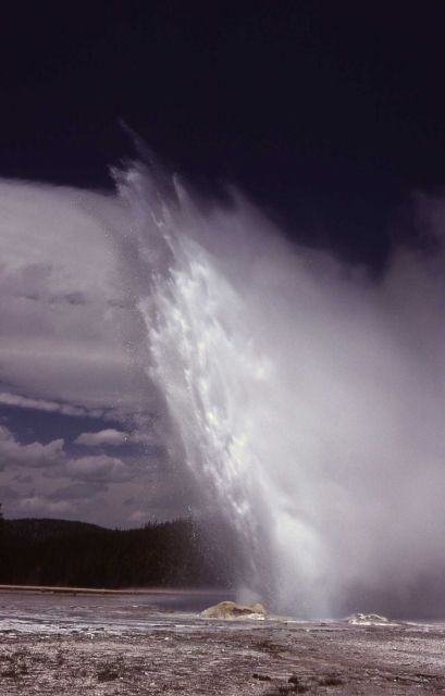 Daisy Geyser - Upper Geyser Basin Picture