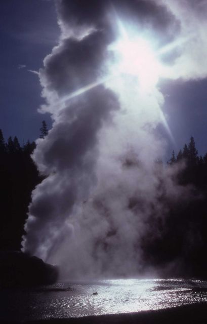 Riverside Geyser - Upper Geyser Basin Picture