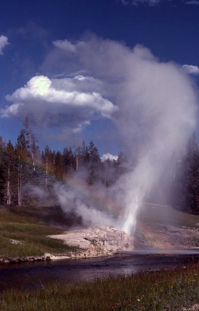 Riverside Geyser & rainbow - Upper Geyser Basin Picture