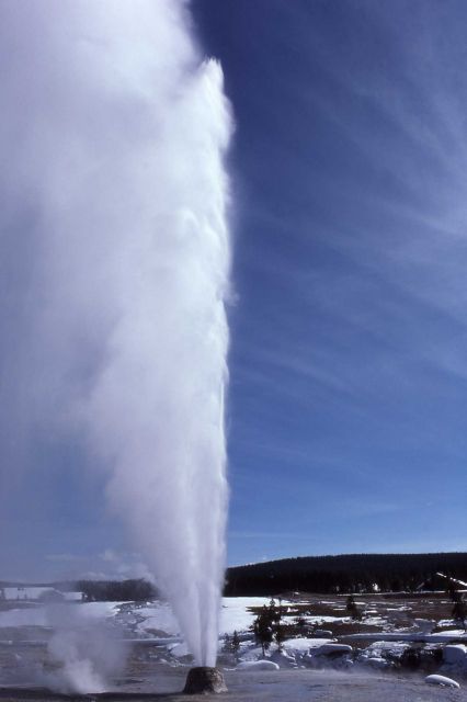 Beehive Geyser in winter eruption - Upper Geyser Basin Picture