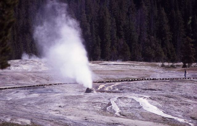 Beehive Geyser, noneruptive, steam - Upper Geyser Basin Picture